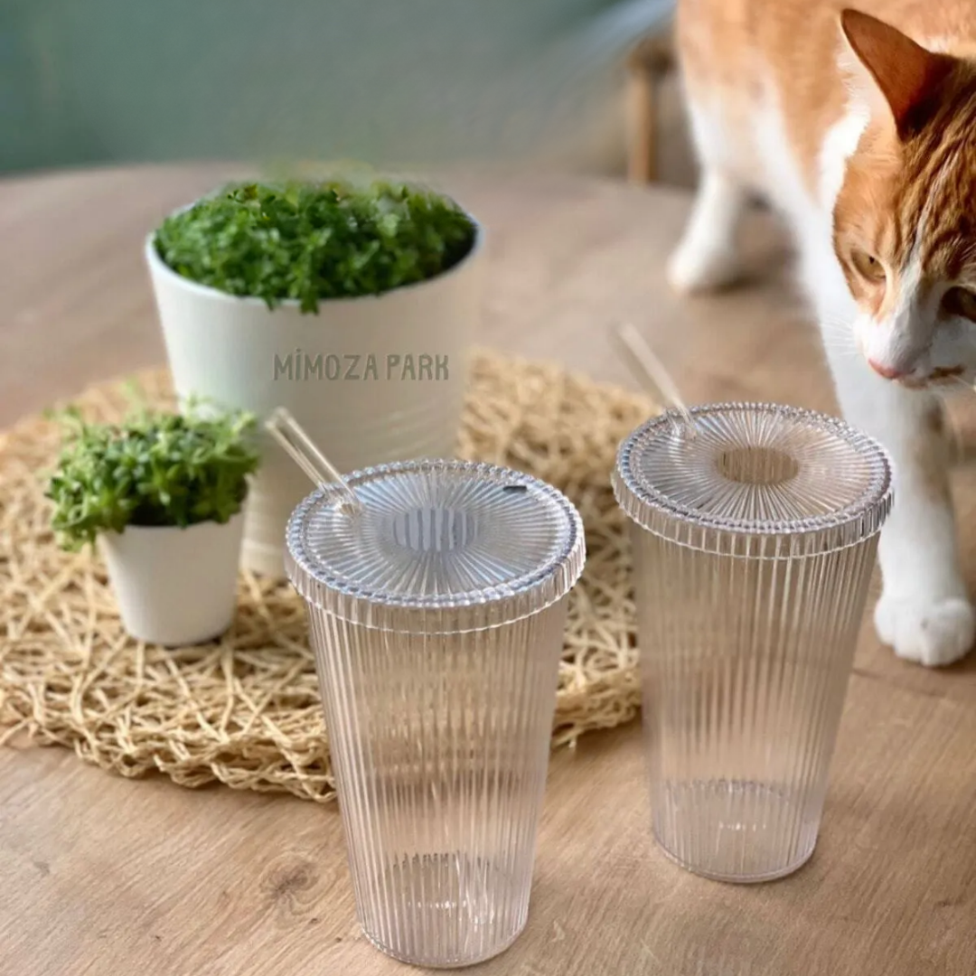 2 origami-style mica cups Atelier Casa